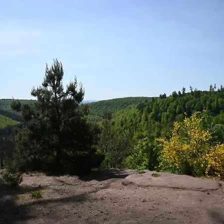 Un étage Entier Dans Maison