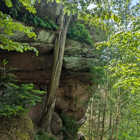 Un étage Entier Dans Maison Apartamento